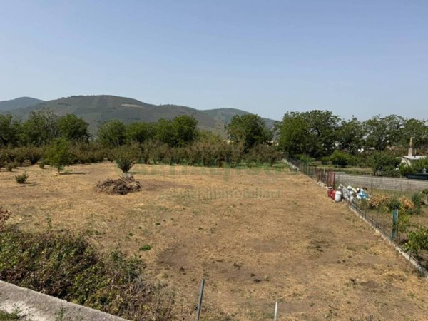 terreno agricolo in vendita a Mugnano del Cardinale