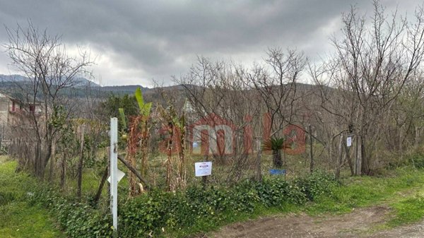 casa indipendente in vendita a Mugnano del Cardinale