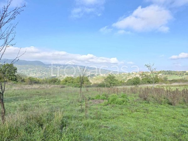 terreno agricolo in vendita a Nusco
