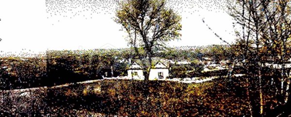 terreno agricolo in vendita a Nusco