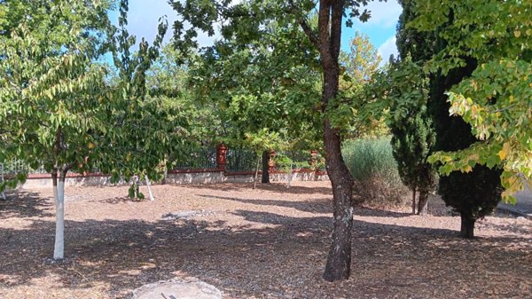 casa indipendente in vendita a Nusco