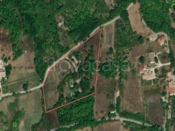 terreno agricolo in vendita a Nusco