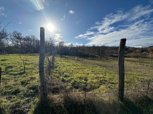 terreno agricolo in vendita a Nusco in zona Ponteromito