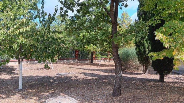 casa indipendente in vendita a Nusco