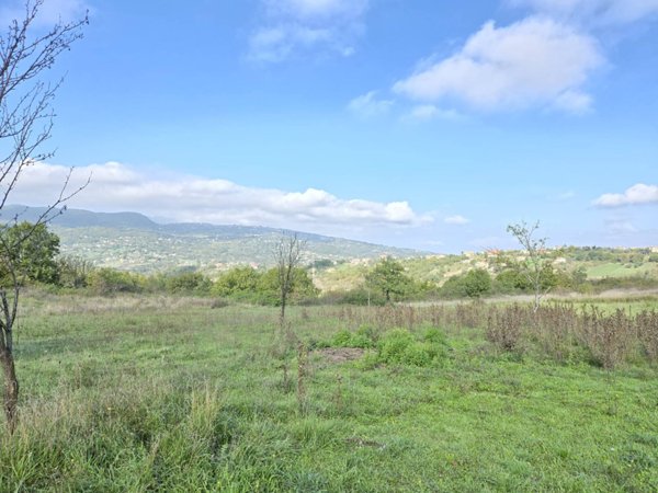 terreno agricolo in vendita a Nusco in zona Ponteromito