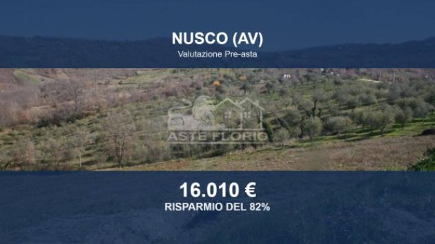 terreno agricolo in vendita a Nusco in zona Ponteromito