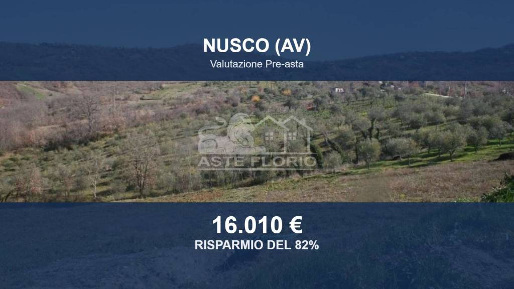 terreno agricolo in vendita a Nusco in zona Ponteromito