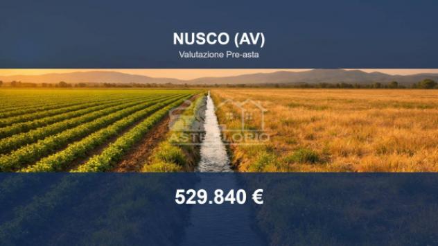 terreno agricolo in vendita a Nusco