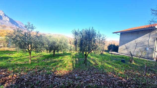 terreno agricolo in vendita ad Ospedaletto d'Alpinolo