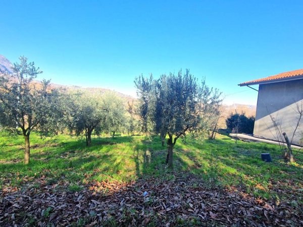 terreno agricolo in vendita ad Ospedaletto d'Alpinolo