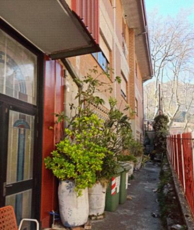 pentavano in vendita ad Ospedaletto d'Alpinolo