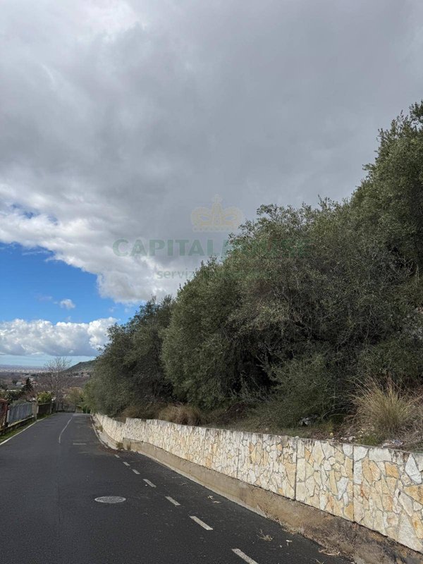 terreno agricolo in vendita a Pago del Vallo di Lauro