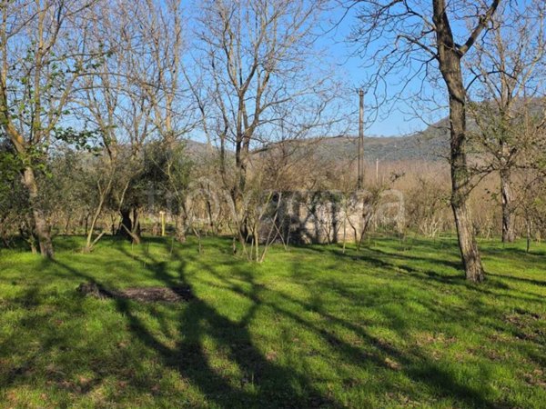terreno agricolo in vendita a Pago del Vallo di Lauro