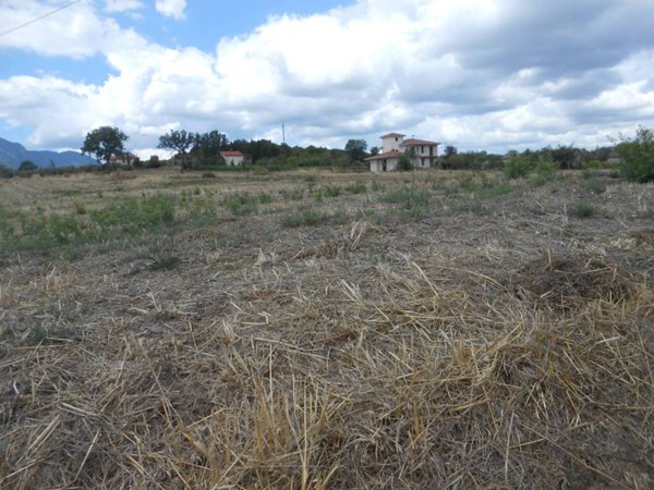 terreno agricolo in vendita a Paternopoli
