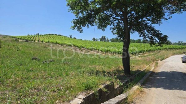 terreno agricolo in vendita a Paternopoli