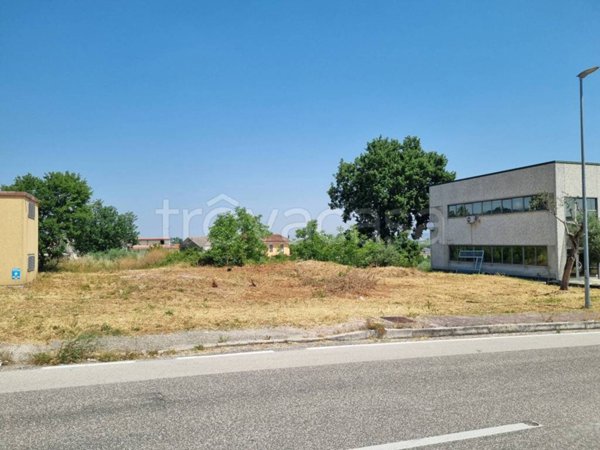 terreno agricolo in vendita a Pietradefusi
