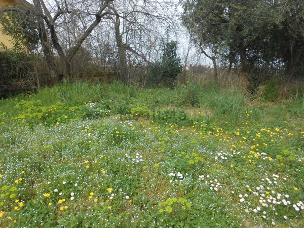 terreno edificabile in vendita a Pietradefusi