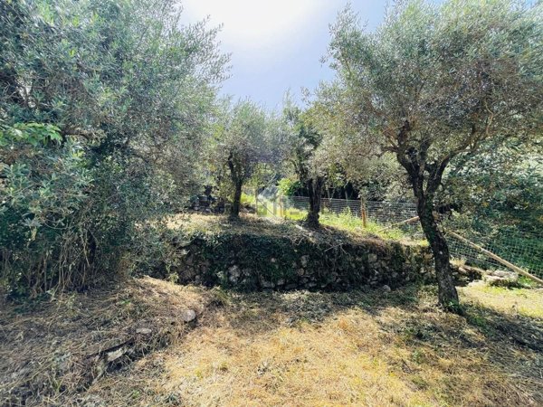 pentavano in vendita a Pietrastornina