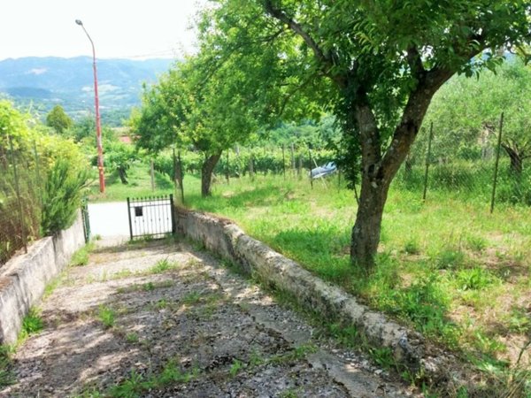 immagine annuncio 0 di 12