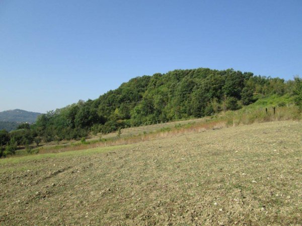 terreno agricolo in vendita a Prata di Principato Ultra in zona Tavernanova