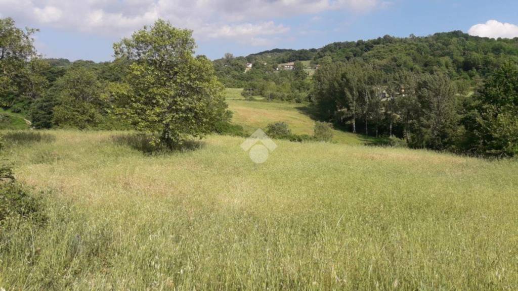 terreno agricolo in vendita a Prata di Principato Ultra in zona Tavernanova