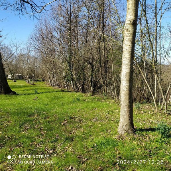 terreno agricolo in vendita a Prata di Principato Ultra