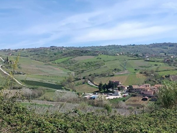 terreno agricolo in vendita a Prata di Principato Ultra