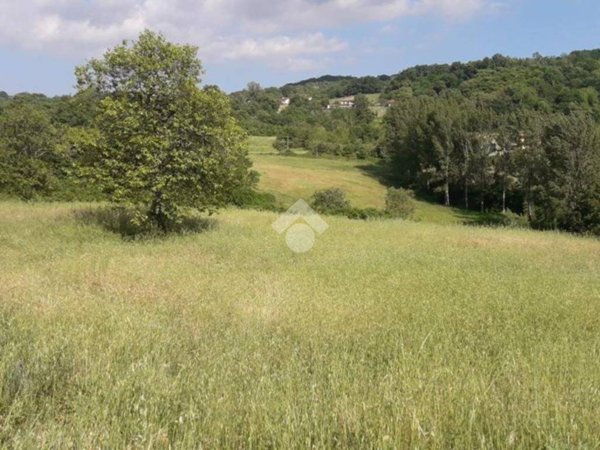 terreno agricolo in vendita a Prata di Principato Ultra