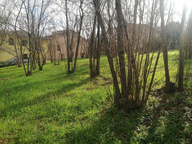 terreno agricolo in vendita a Prata di Principato Ultra
