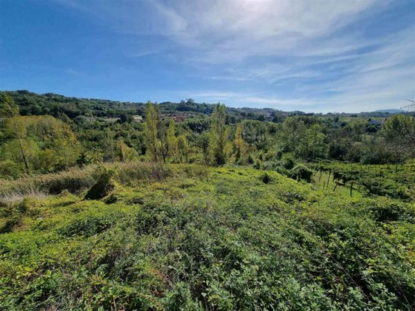 terreno agricolo in vendita a Prata di Principato Ultra in zona Tavernanova
