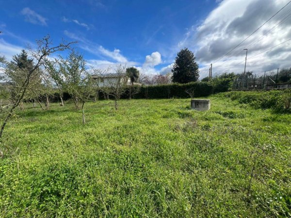 terreno agricolo in vendita a Prata di Principato Ultra