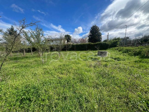 terreno agricolo in vendita a Prata di Principato Ultra