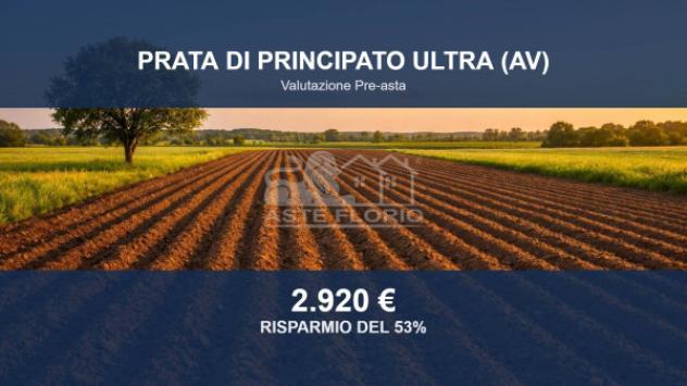 terreno agricolo in vendita a Prata di Principato Ultra
