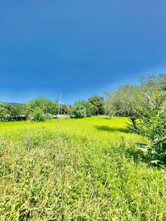 terreno agricolo in vendita a Pratola Serra