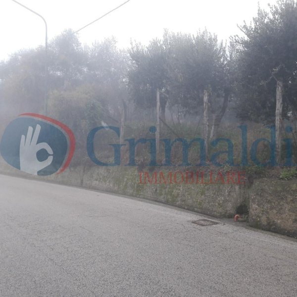 terreno agricolo in vendita a Pratola Serra
