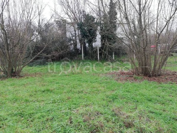 terreno agricolo in vendita a Pratola Serra