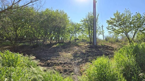 terreno agricolo in vendita a Pratola Serra