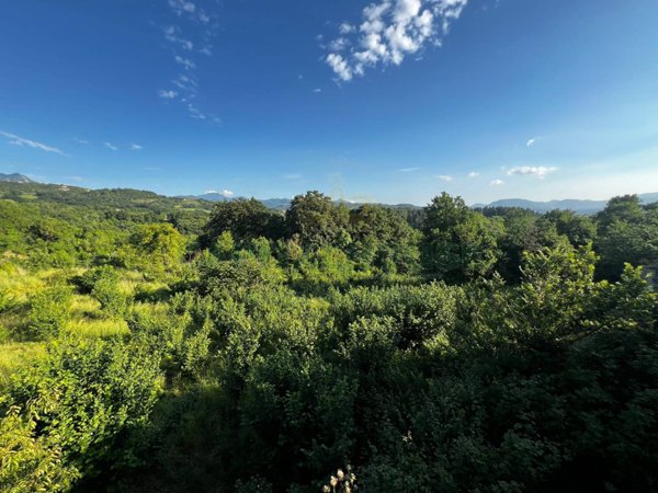 terreno agricolo in vendita a Pratola Serra
