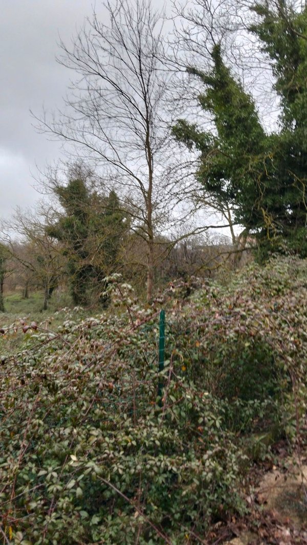 terreno edificabile in vendita a Pratola Serra