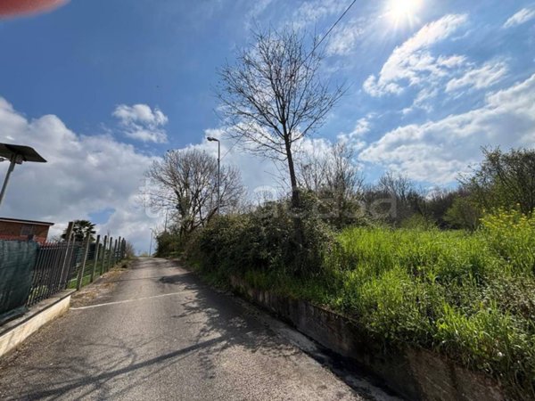 terreno agricolo in vendita a Pratola Serra