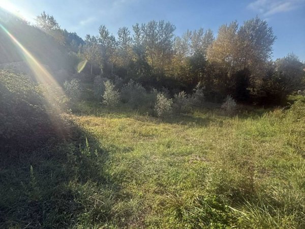 terreno agricolo in vendita a Pratola Serra in zona San Michele di Pratola