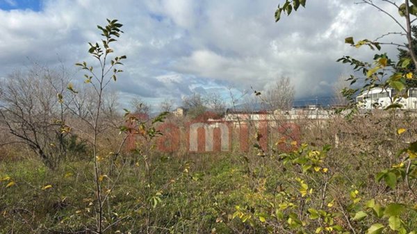 terreno agricolo in vendita a Quadrelle