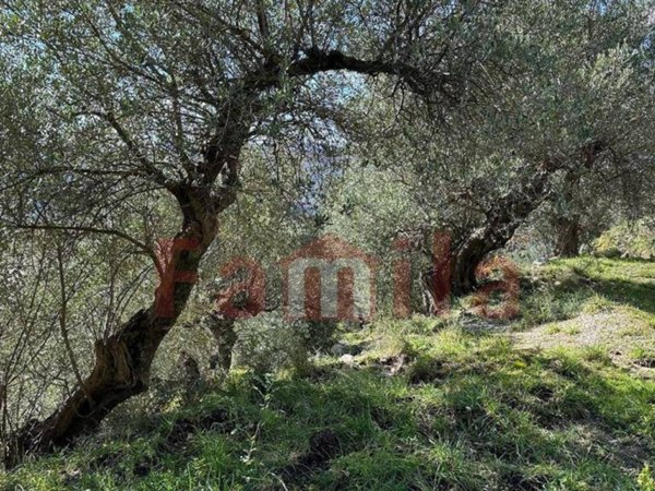 terreno agricolo in vendita a Quadrelle