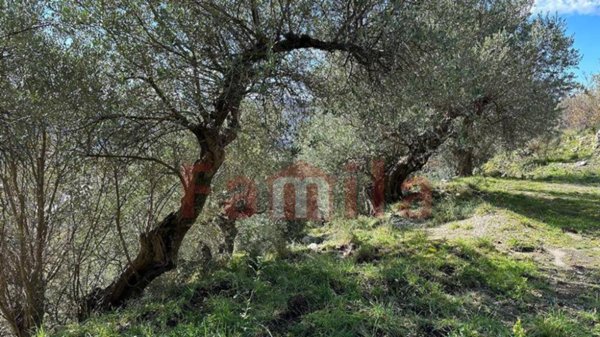 terreno agricolo in vendita a Quadrelle