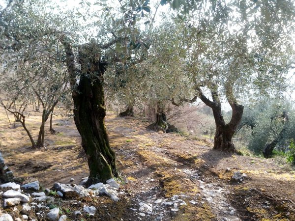 rudere in vendita a Quadrelle