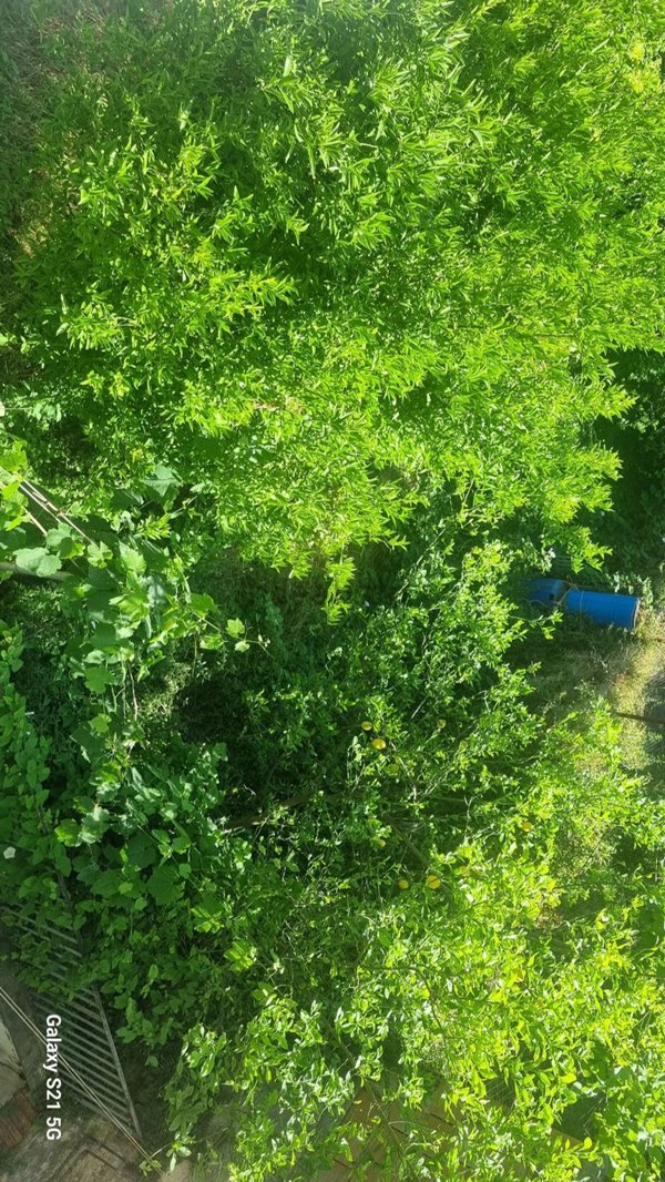 appartamento in vendita a Quadrelle