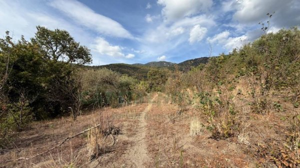 terreno agricolo in vendita a Quadrelle