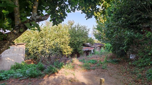terreno agricolo in vendita a Roccabascerana