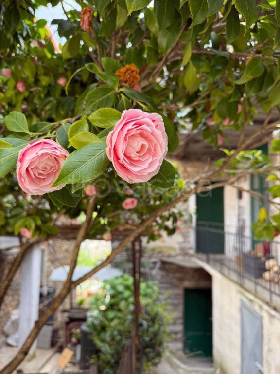 casa indipendente in vendita ad Alto