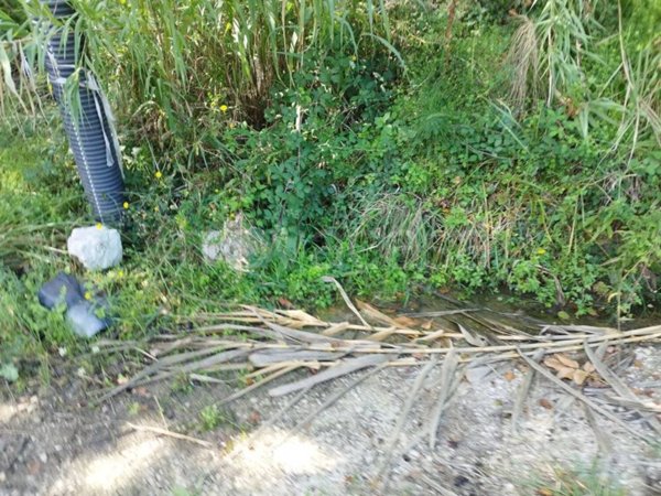terreno agricolo in vendita a San Mango sul Calore